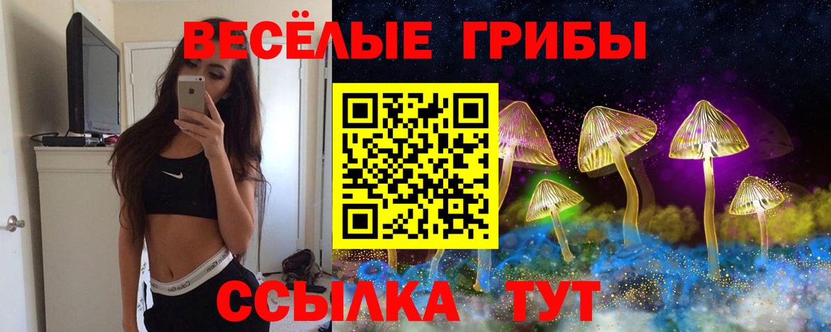 Псилоцибиновые грибы мицелий Троицк